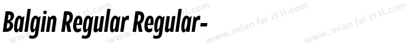 Balgin Regular Regular字体转换